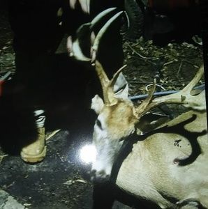 Meet your Posher, Jamie